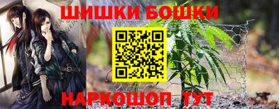 крисы Жуковский