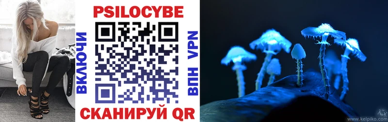 где можно купить   ОМГ ОМГ зеркало  Псилоцибиновые грибы Psilocybe  Звенигород 