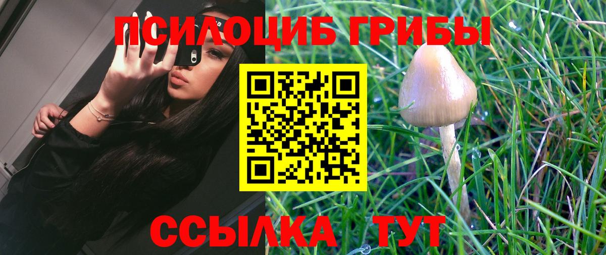 Псилоцибиновые грибы ЛСД Звенигород