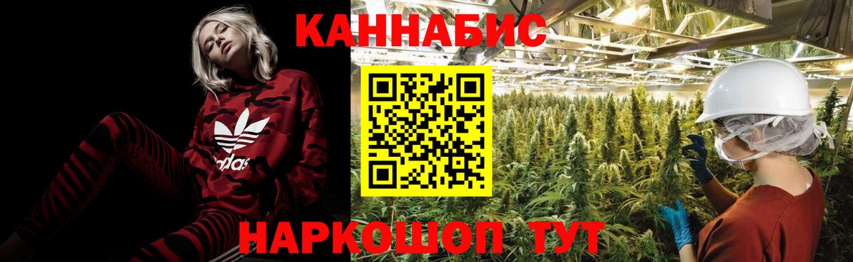 Шишки марихуана гибрид Звенигород